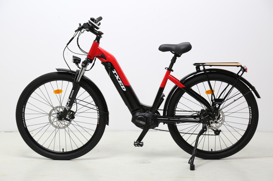 Vélo électrique homme e Tough Going M9 tout suspendu